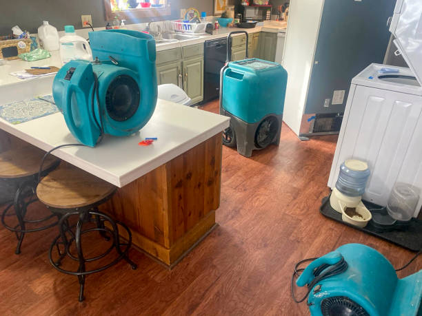 Best Fire Damage Restoration  in Riesel, TX