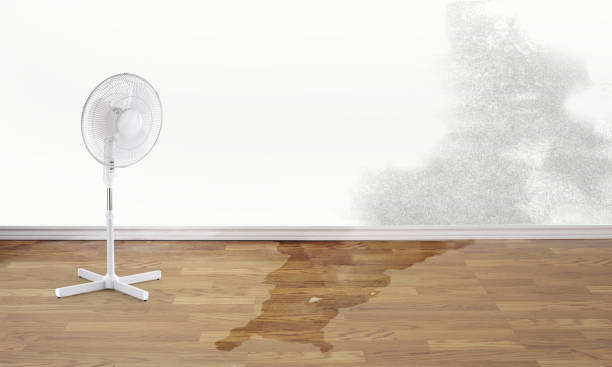 Best Emergency water damage restoration  in Riesel, TX